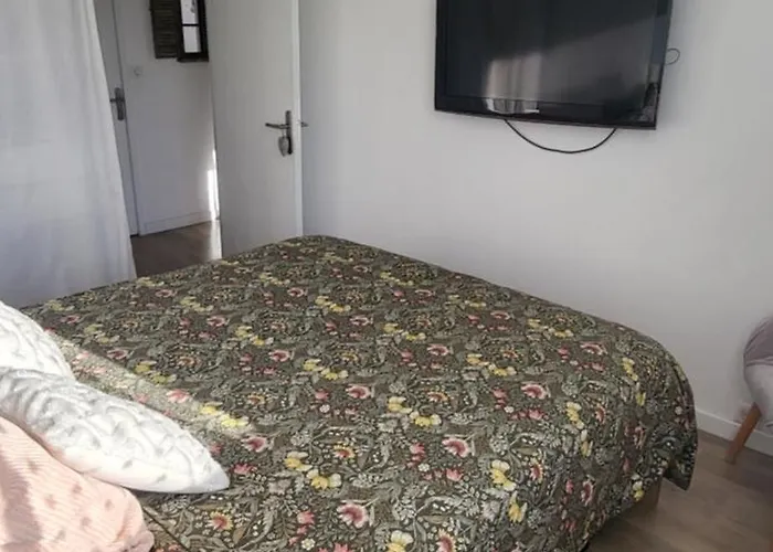 Large 2-room Like A Cocoon ניס