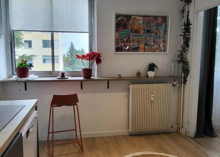 Large 2-room Like A Cocoon 公寓 尼斯