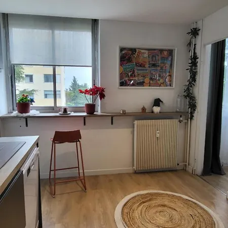 Large 2-room Like A Cocoon Apartman Nizza