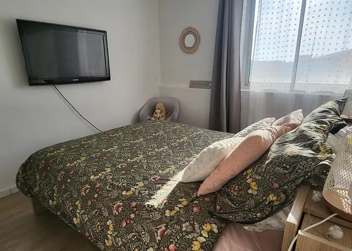 Appartement Large 2-room Like A Cocoon *